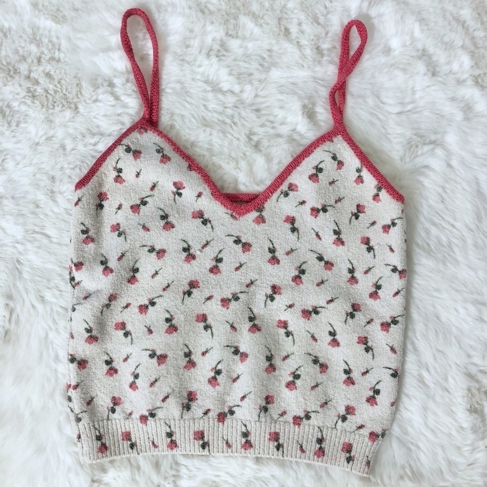 Zara Floral Print Knit Crop Top